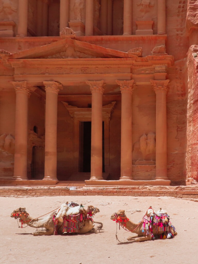 Kamelen liggen voor de Schatkammer in Petra