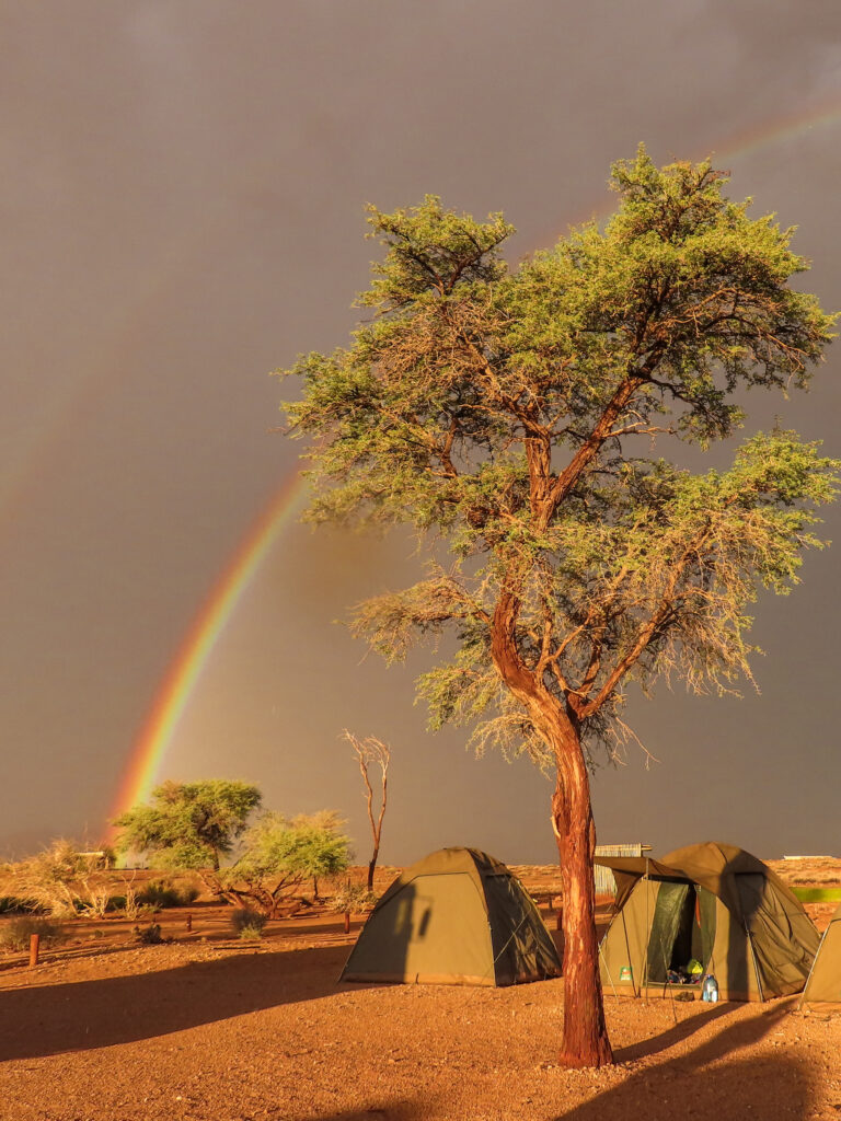 Waking up in a tent in the middle of nature during safari