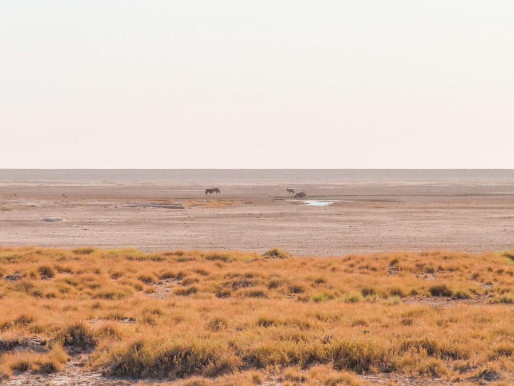 Enorme afstanden tussen verschillende plaatsen maakt een auto huren in Namibië onmisbaar