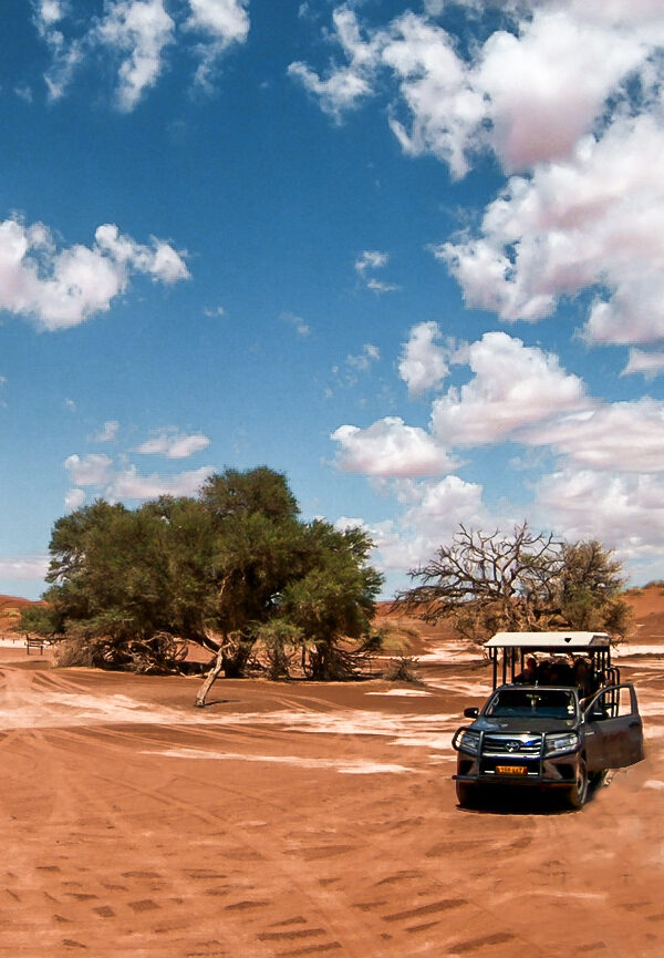 Een Auto Huren In Namibië: Complete Gids + Tips