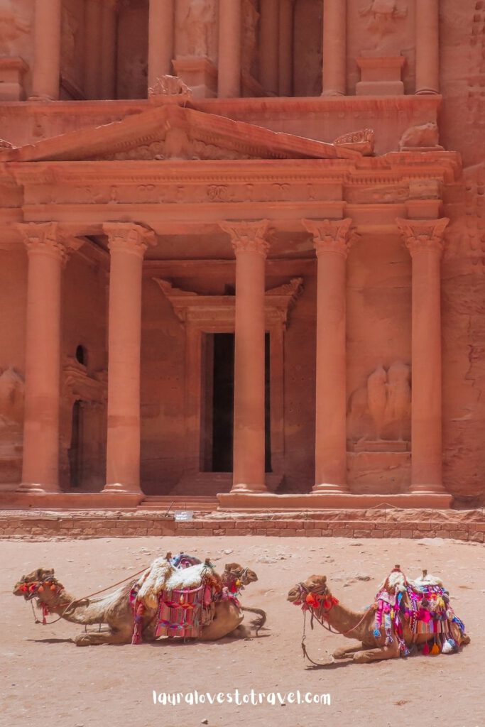 Twee kamelen liggen voor 'de schatkamer' in Petra, Jordanië
