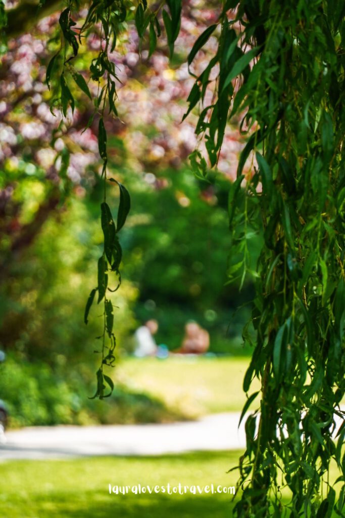 Genieten van een picknick in het stadspark van Kampen