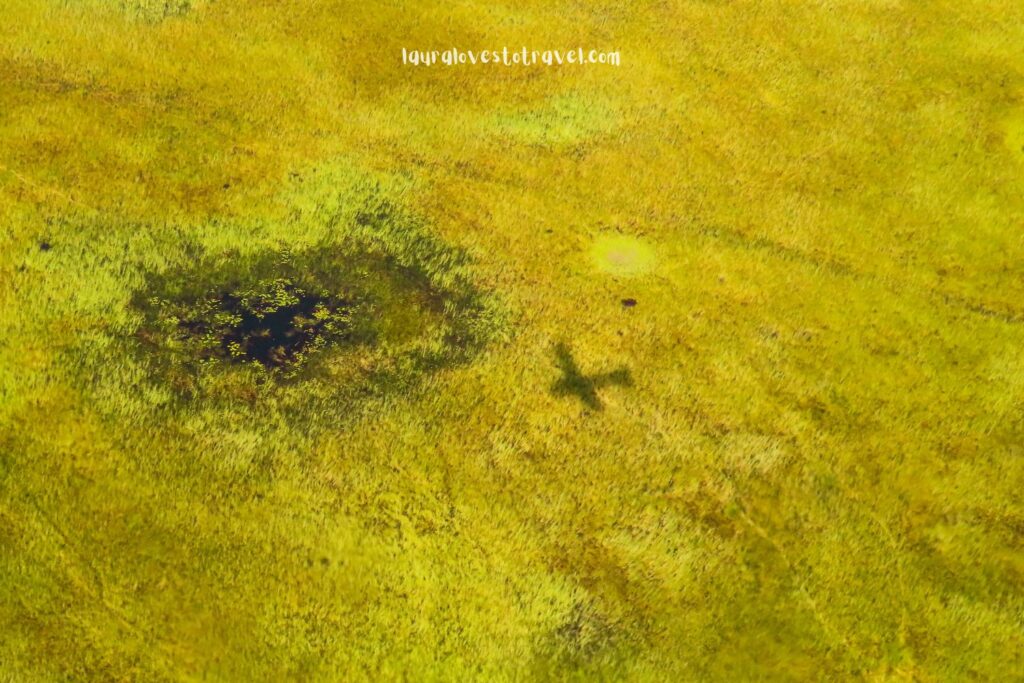 De schaduw van een vliegtuigje over het groene landschap van de Okavango Delta