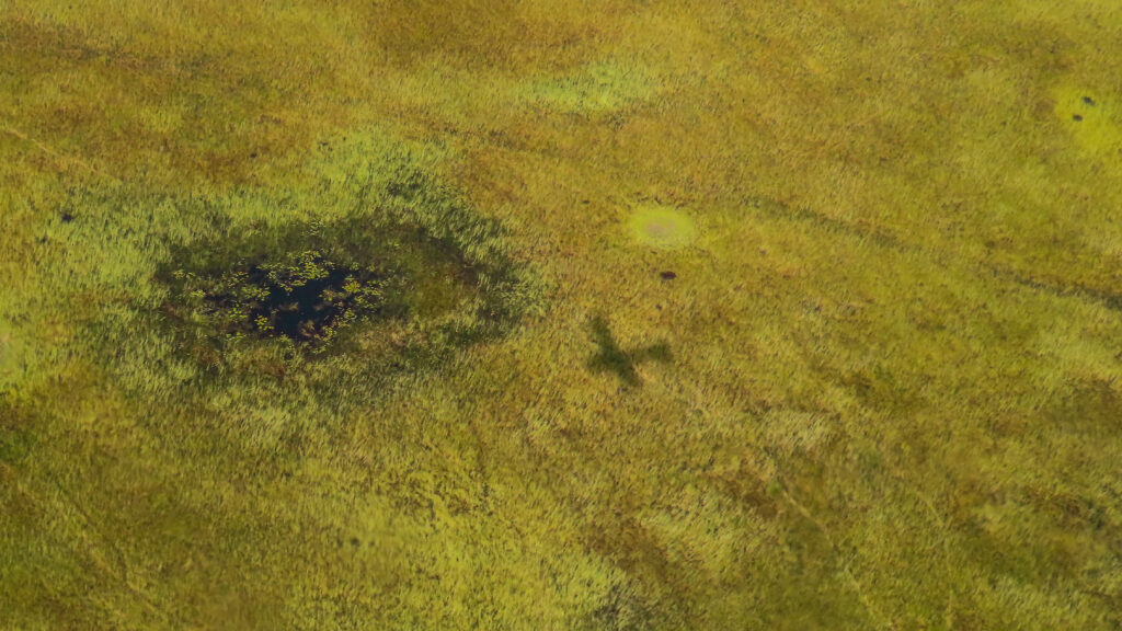 De schaduw van een vliegtuigje op een weelderig groene Okavango Delta in Botswana