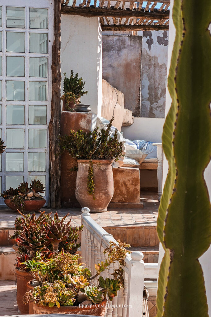 Grote bloempotten bij een riad in Essaouira
