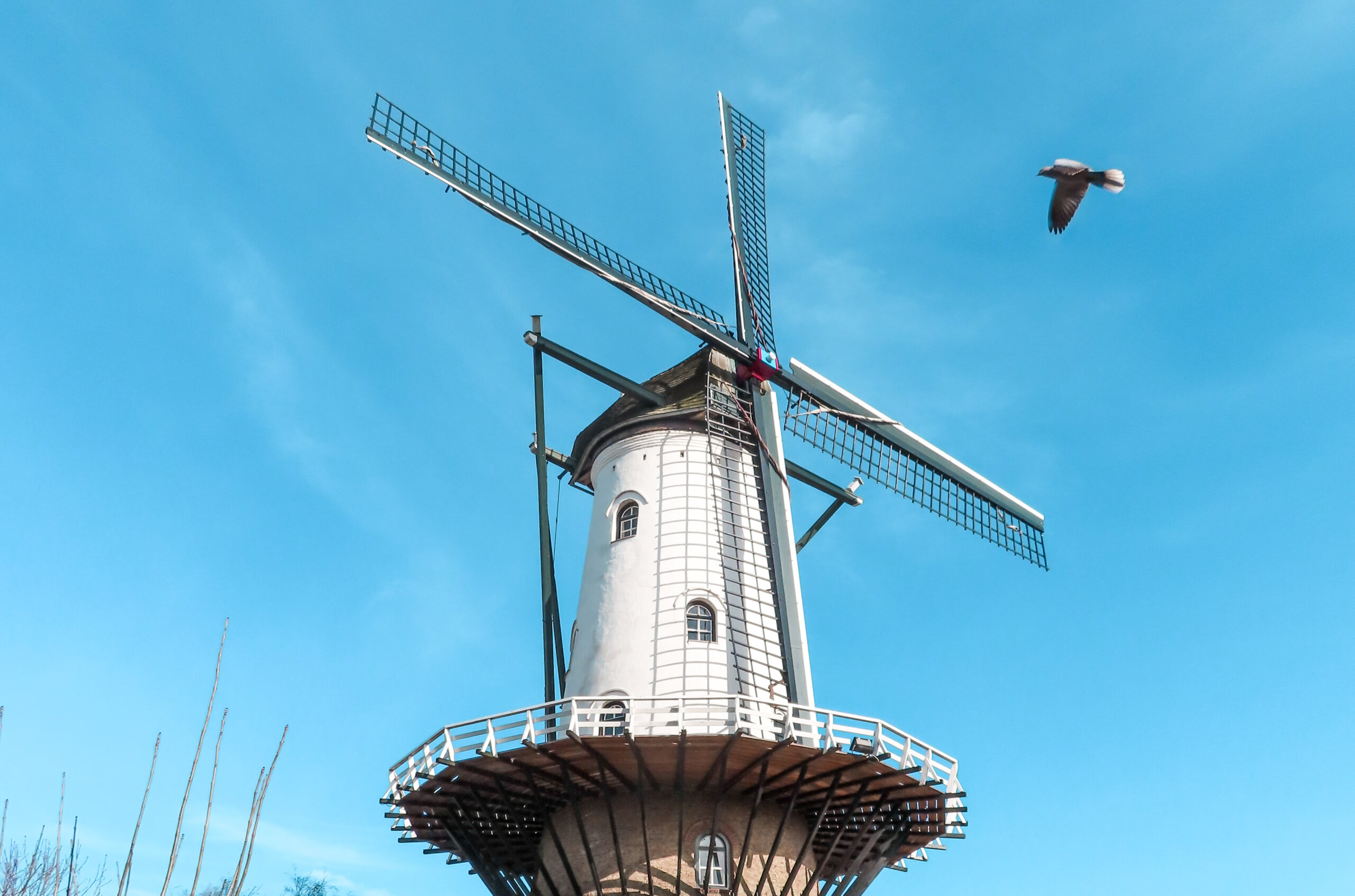 View on a white windmill in the Netherlands