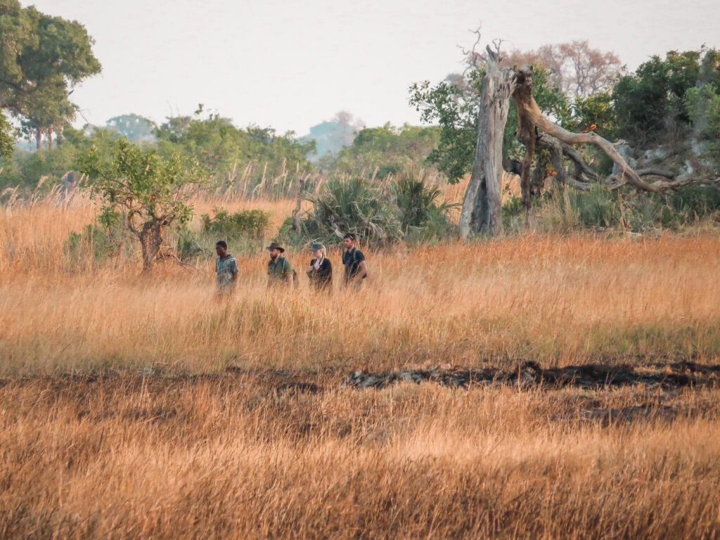 Sustainable travel: A local walking safari in Botswana