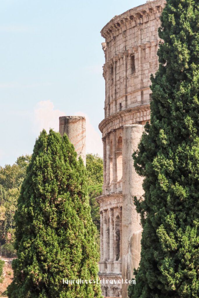 Details on the Colosseum in Rome, Italy