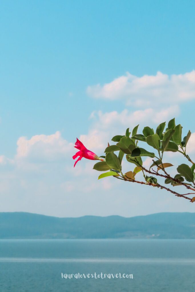 View on Lago Bracciano