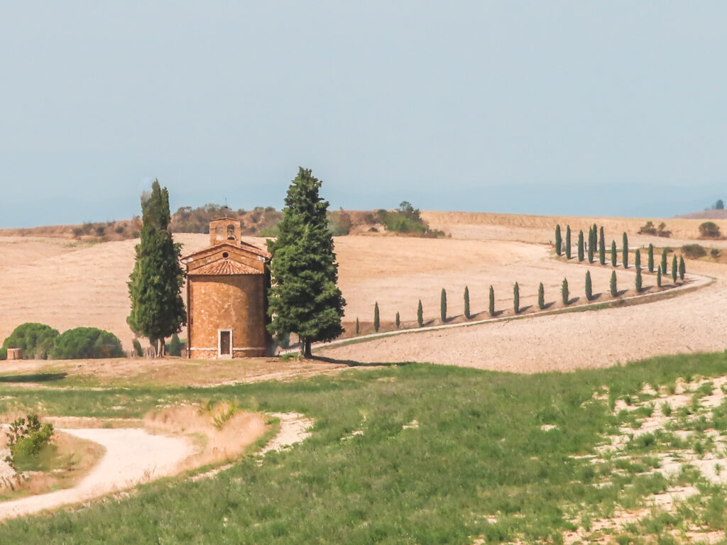 Perfectly lined cypress trees in Val d'Orcia, Tuscany, Italy - You will encounter a lot of cypress trees during your Italy road trip