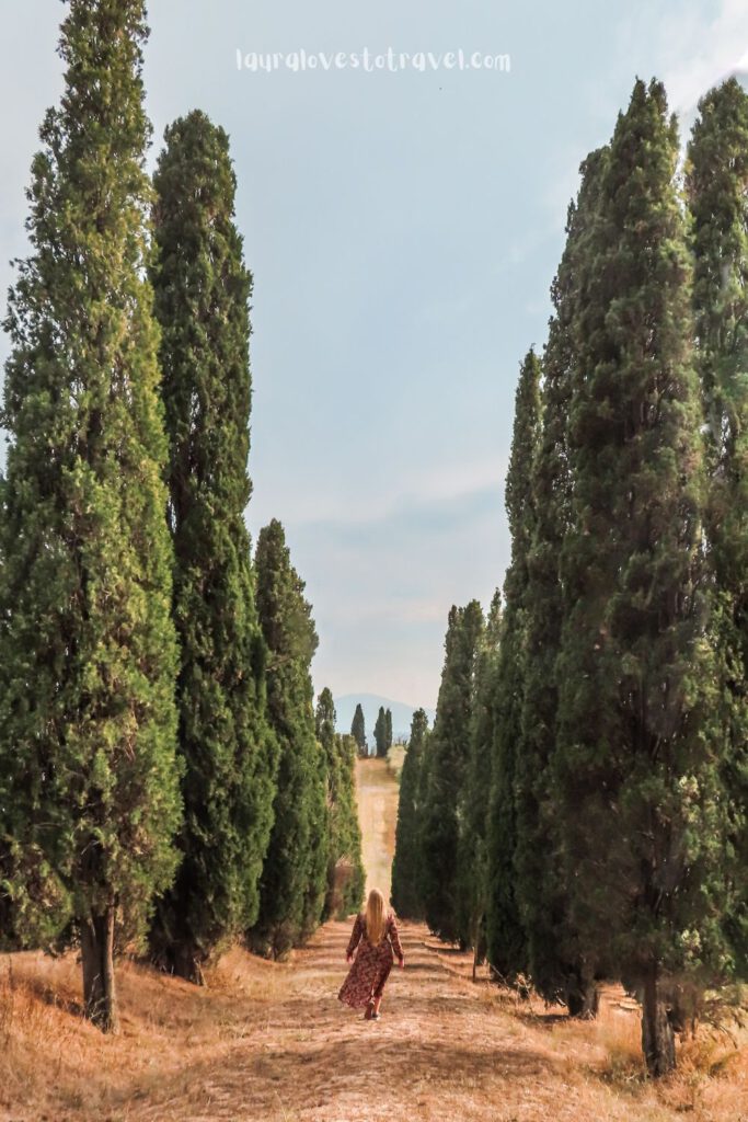 Walking through the cypress trees