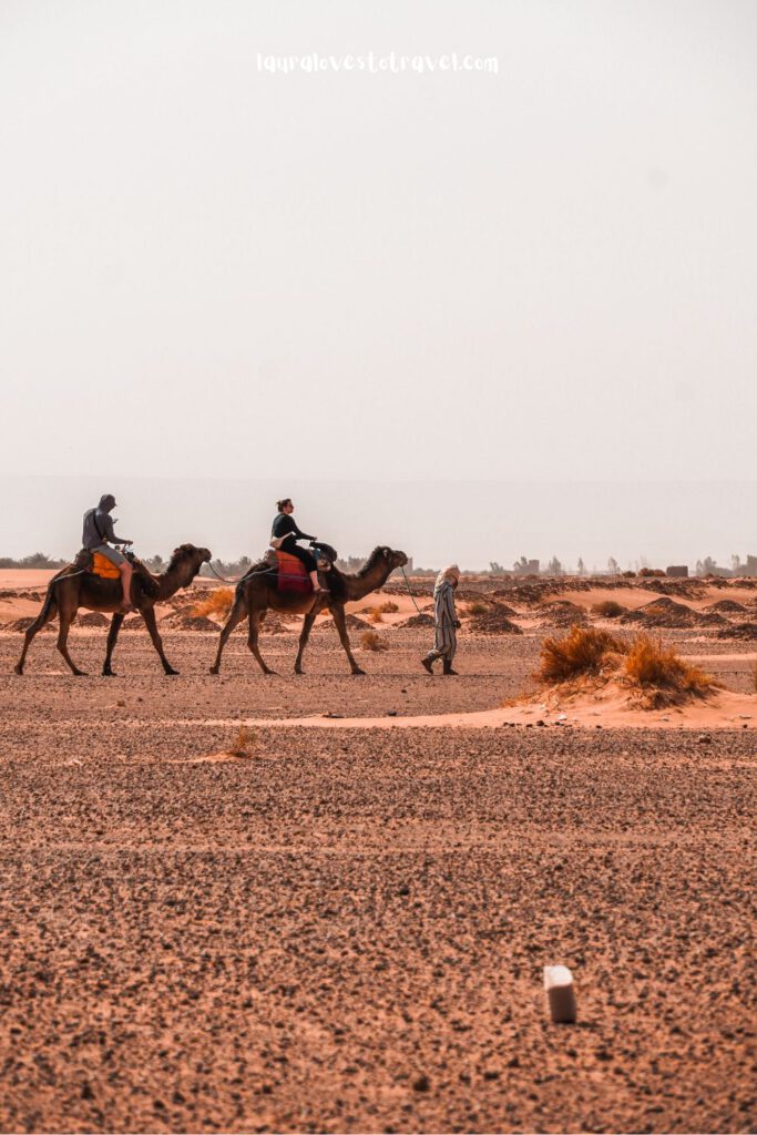 Camel ride in Morocco