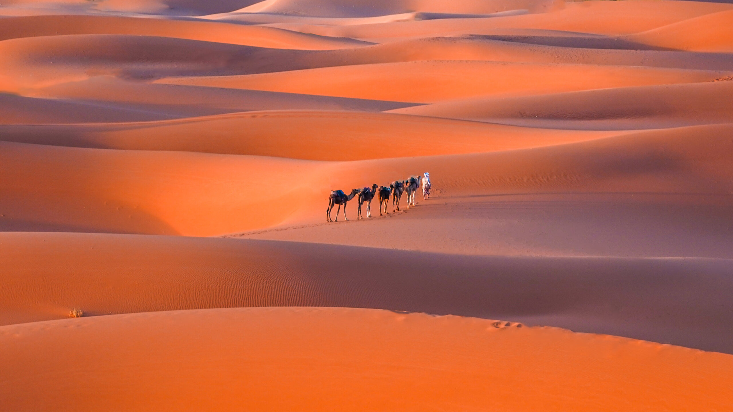 Sahara desert, Morocco