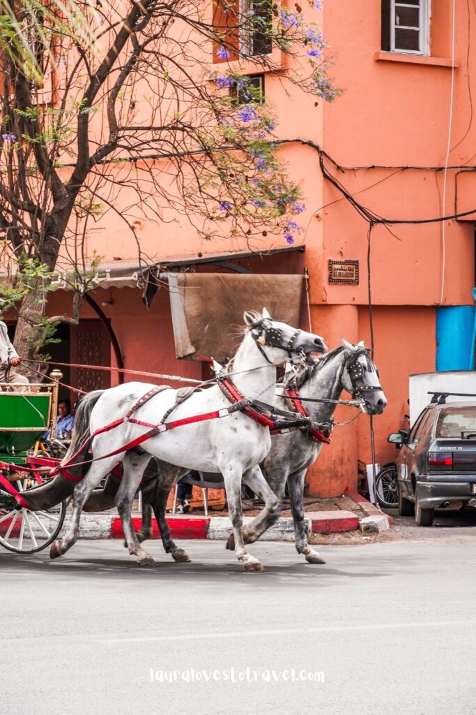 A horse-drawn carriage in Marrakesh