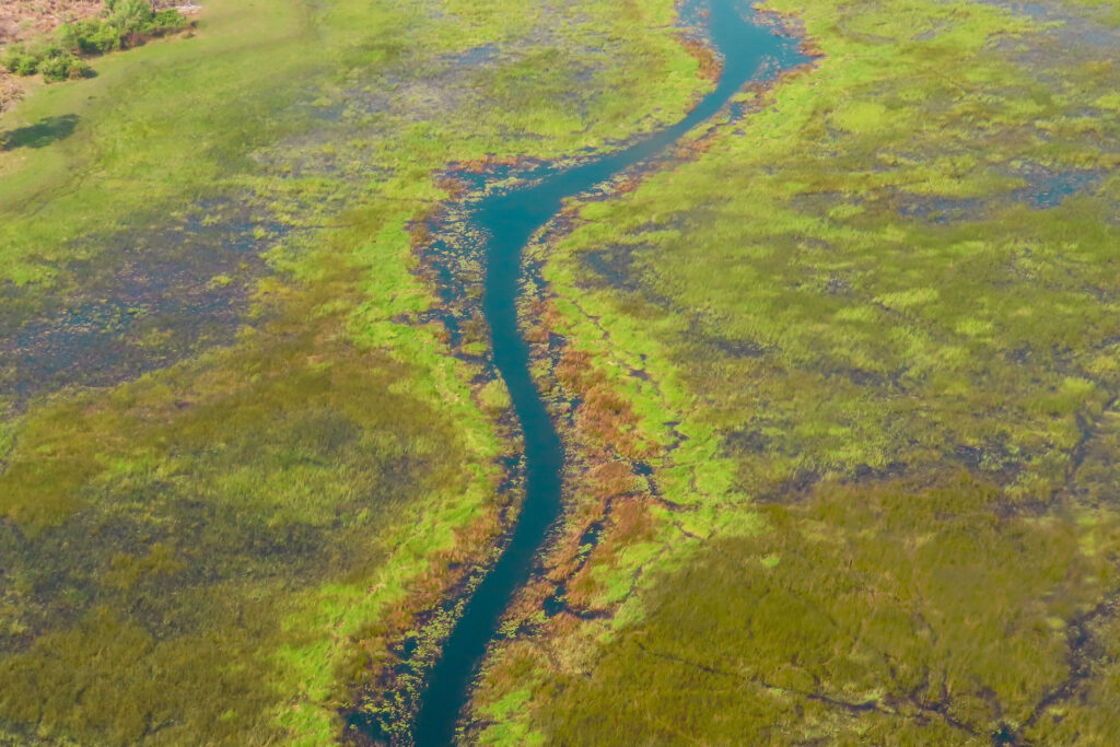 You can contribute to sustainble travel by exploring and supporting natural reserves and marine sanctuaries