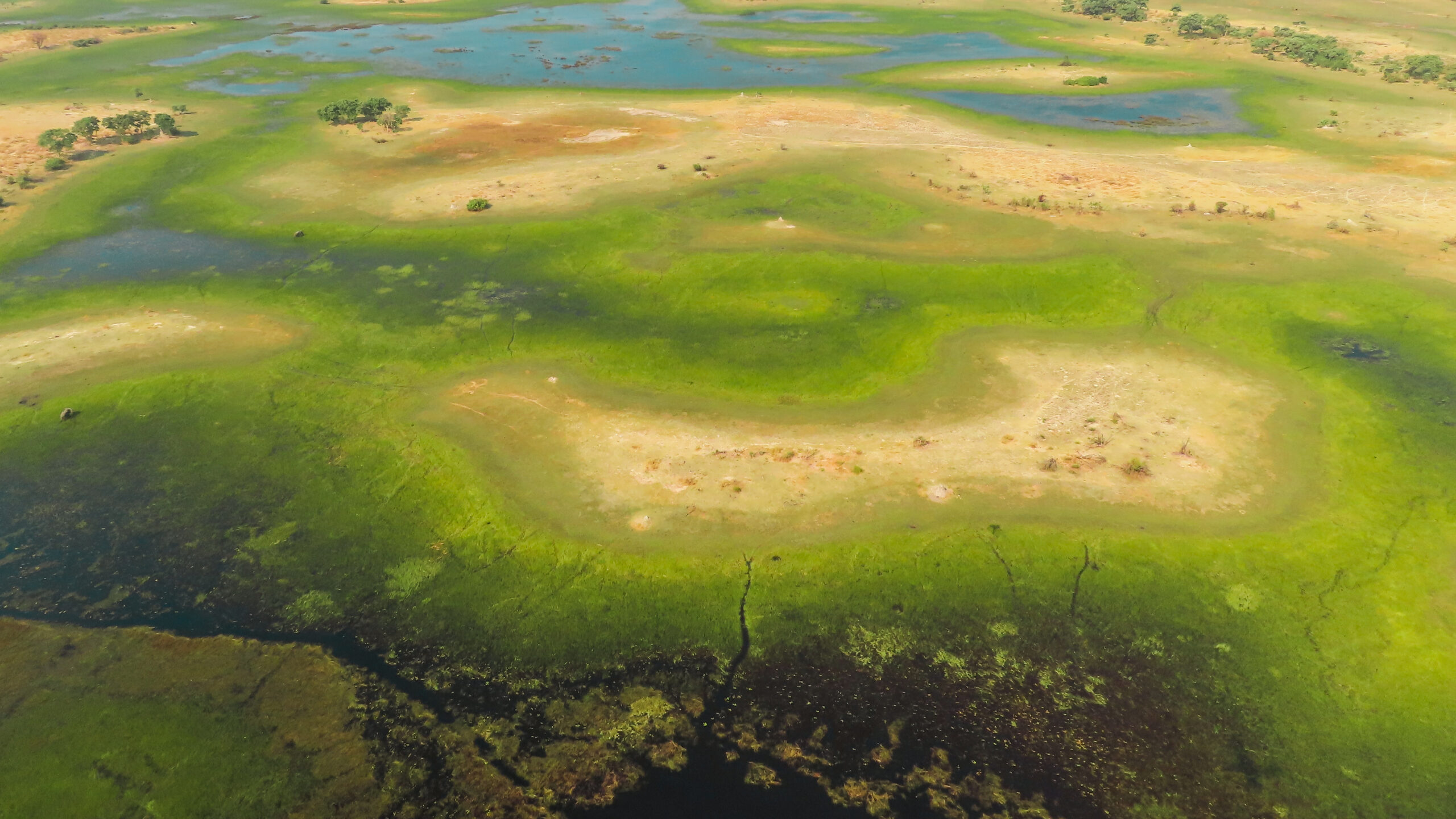 Okavango Delta, Africa