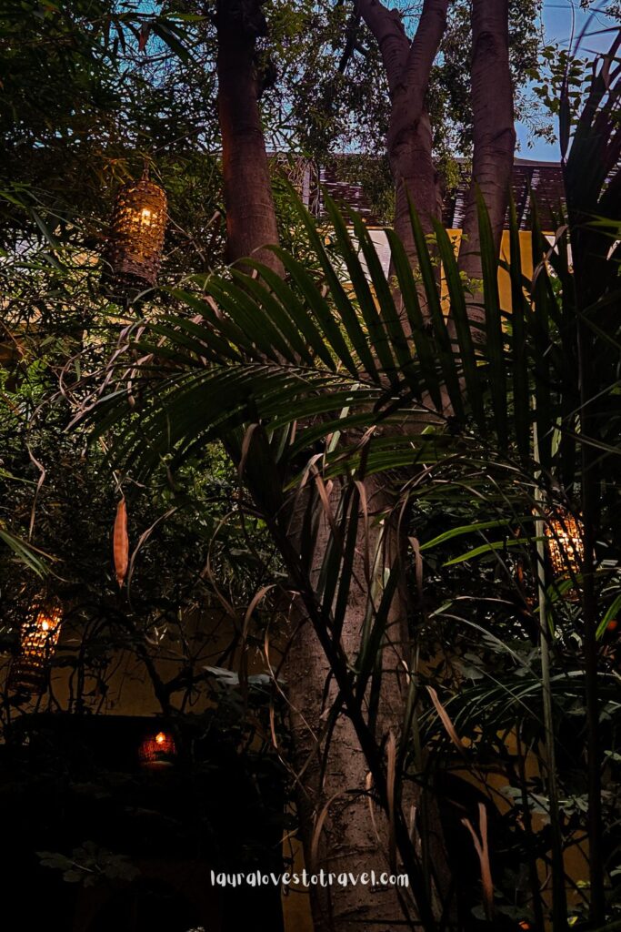 Botanical vibes at Le Jardin